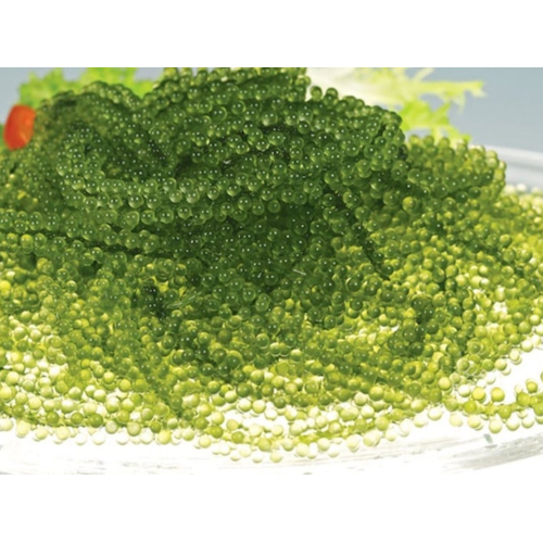 8. Rong nho tách nước SEA GRAPES